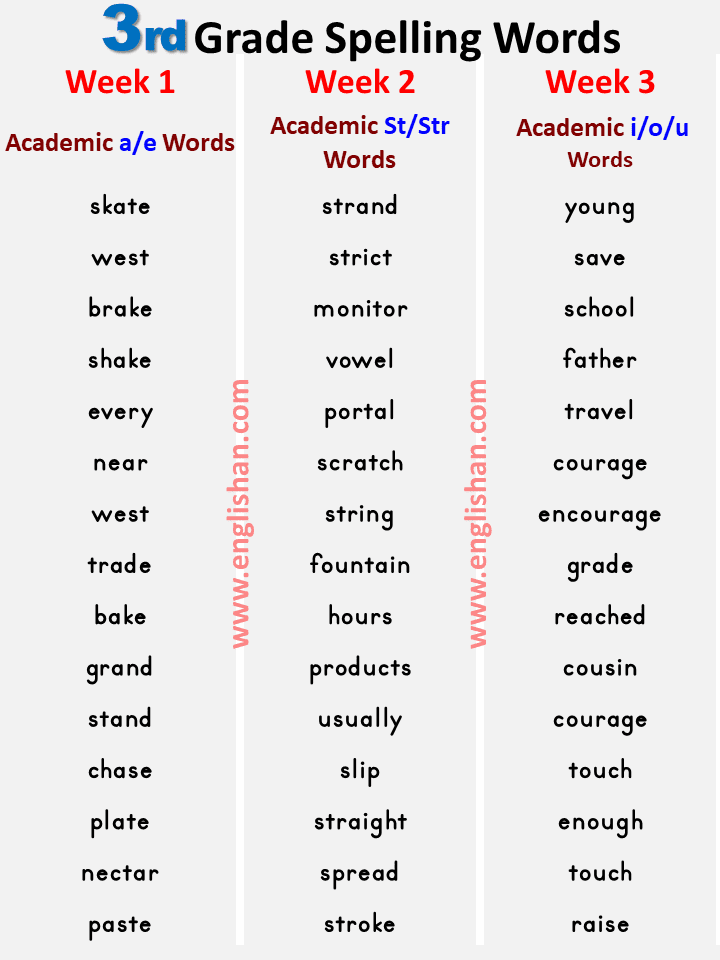 3Rd Grade Spelling Words Pdf / 3rd Grade Spelling Words Word Search