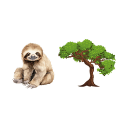 Sloth - Tree branches