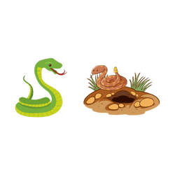 Snake - Burrow