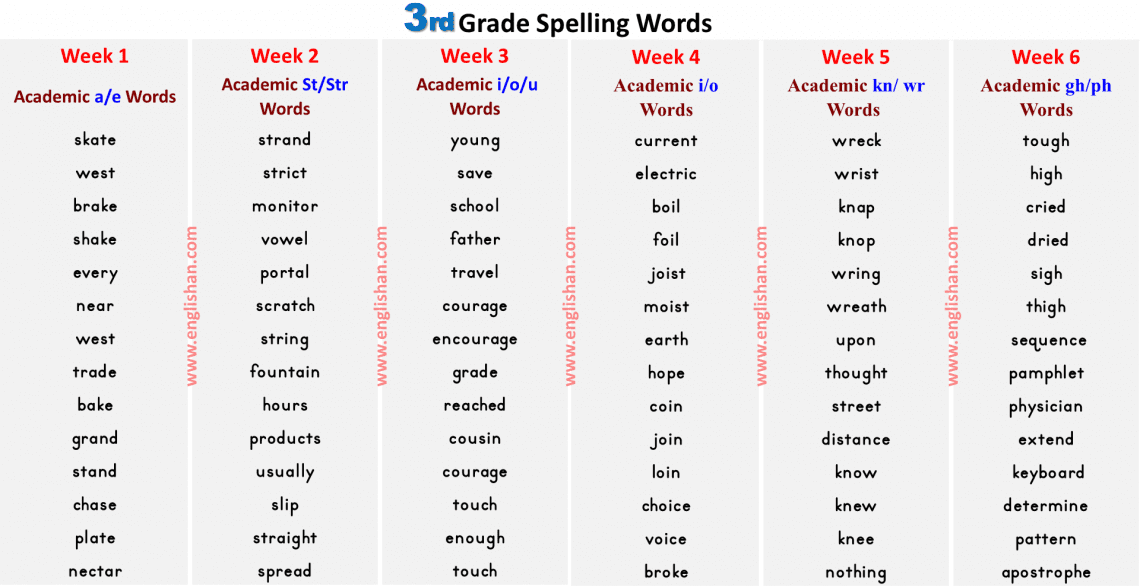 Spelling Bee Words For Grade 3 Pdf Englishan