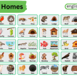 Animals and Their Homes in English