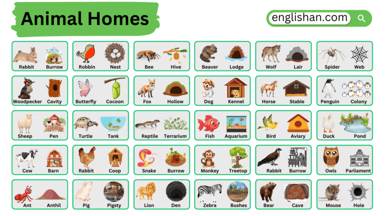 100 Animals and Their Homes Names in English • Englishan