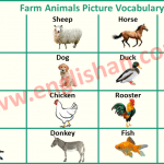 Farm Animals Picture Vocabulary