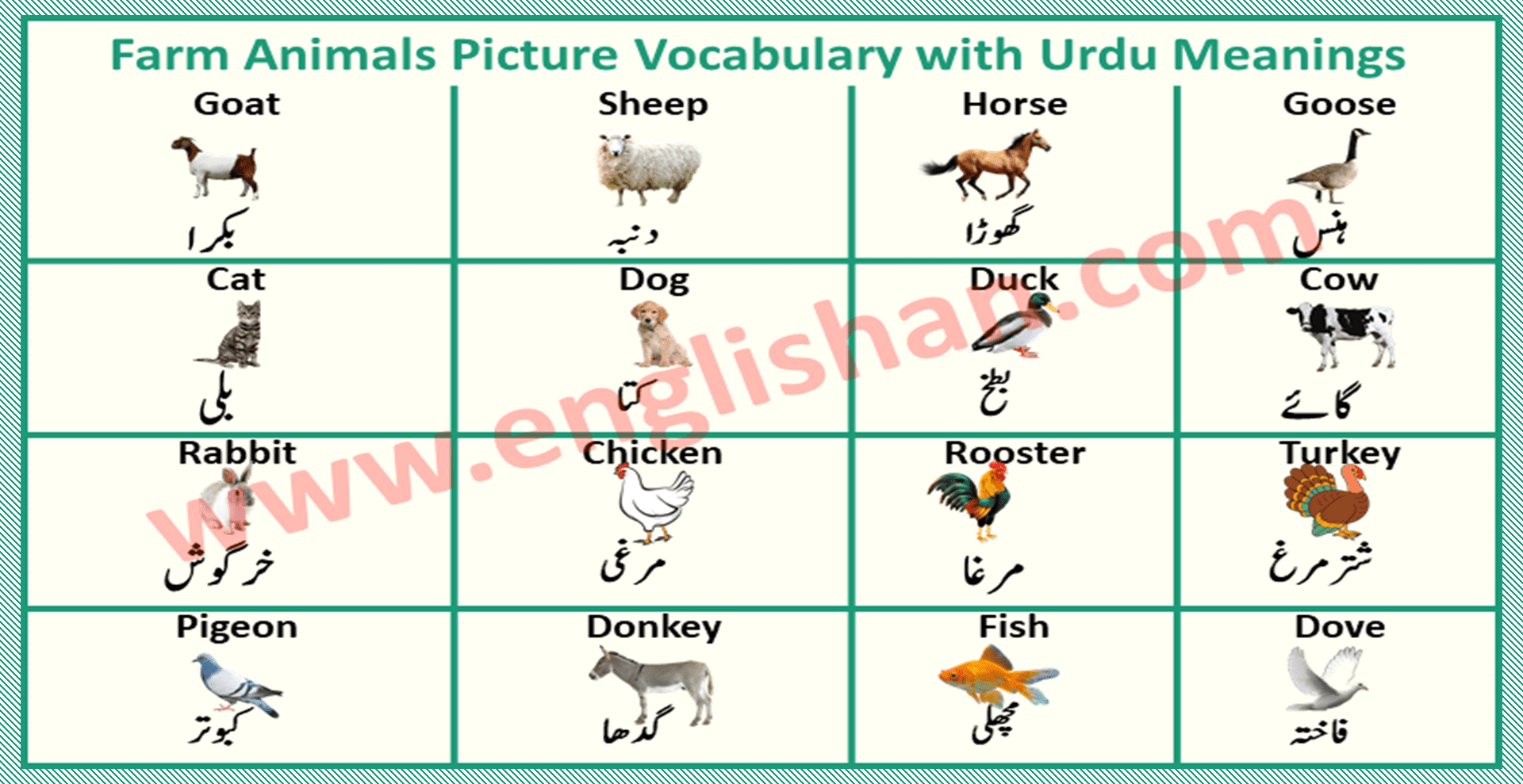 Pet Animals Meaning In Urdu Anna Blog