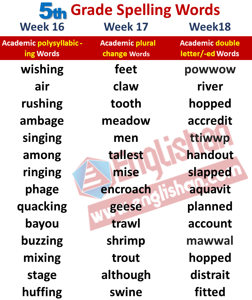 5th Grade Spelling Words List PDF