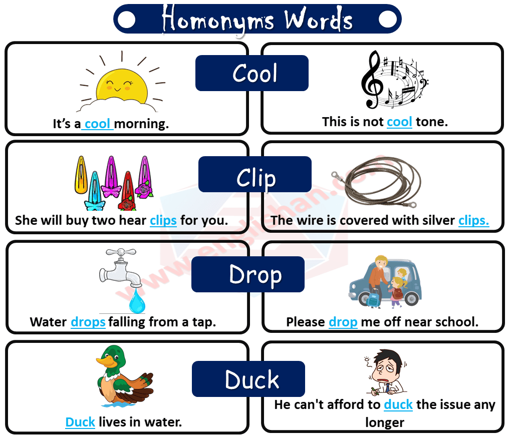 100 Examples of Homonyms with Sentences