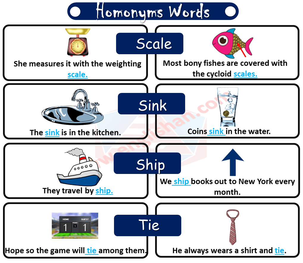 Homophones and Homographs PDF