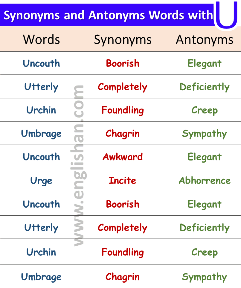 Synonyms and Antonyms Examples Sentences