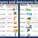 Synonyms and Antonyms for Kids