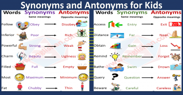 Synonyms and Antonyms for Kids