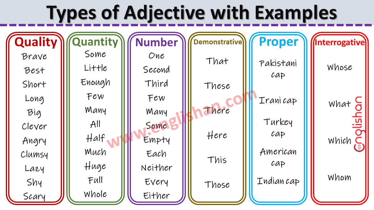 Types of Adjective with Examples