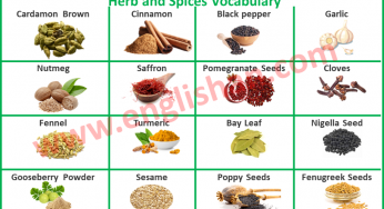 What Is Cajun Spice In Urdu