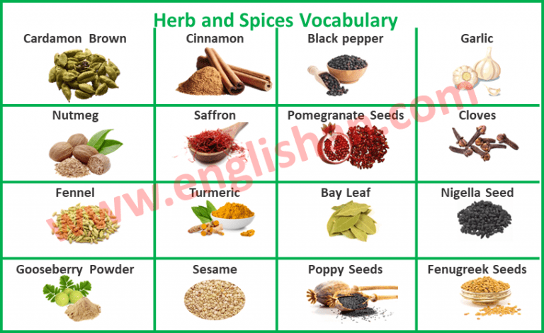 Herbs And Spices Vocabulary With Images In Urdu To English Pdf