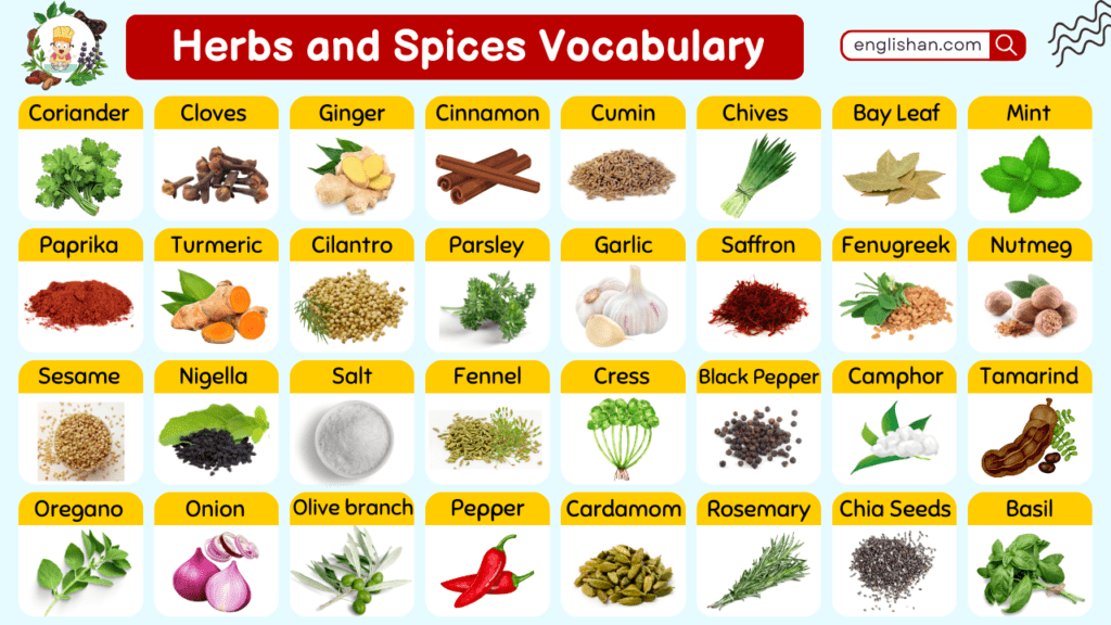 Herbs and Spices Vocabulary with Images in Urdu To English PDF