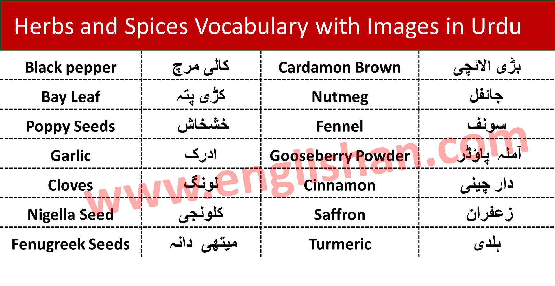 Adjective In Urdu To English