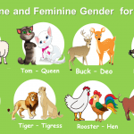 Masculine and Feminine Gender for Animals