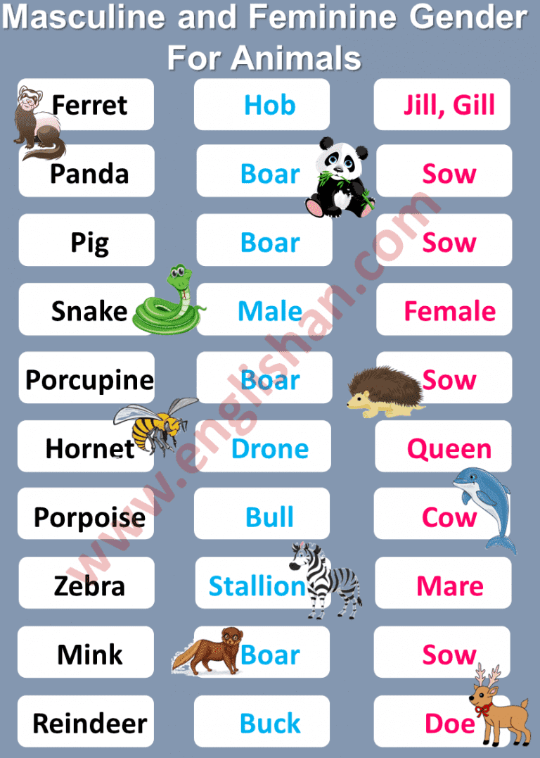 Masculine And Feminine Gender Of Animals List - Ultimate