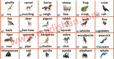 Animals and Their Sounds with Picture Vocabulary