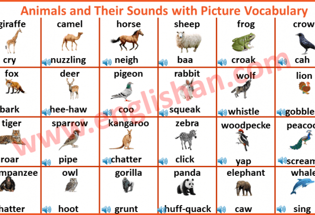 animal-sounds-download-englishan