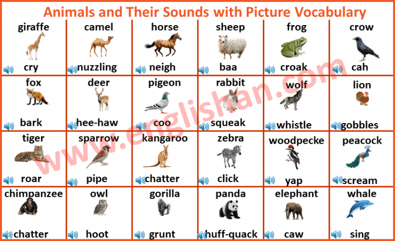 animals sounds