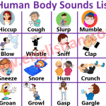 50 + Human Body Sounds List