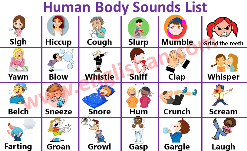 Human topic. Human Sounds. Sound body. Human body with pictures Vocabulary for Kids learn English. Body Sounds in English.