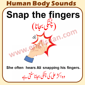 50 + Human Body Sounds List with Picture | Englishan