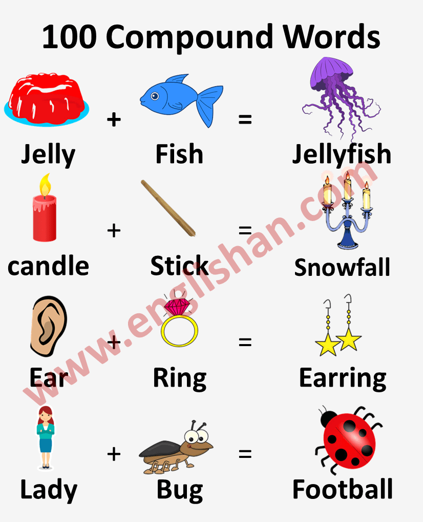 Two Compound Words with Picture