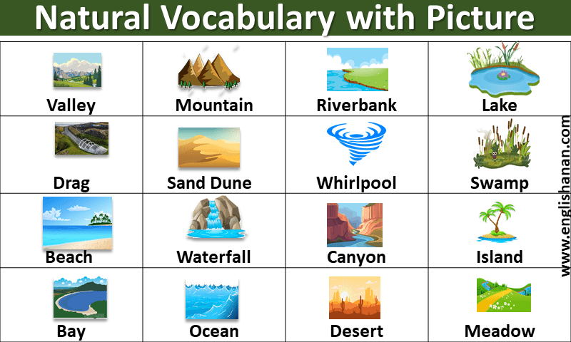Natural Vocabulary with Picture
