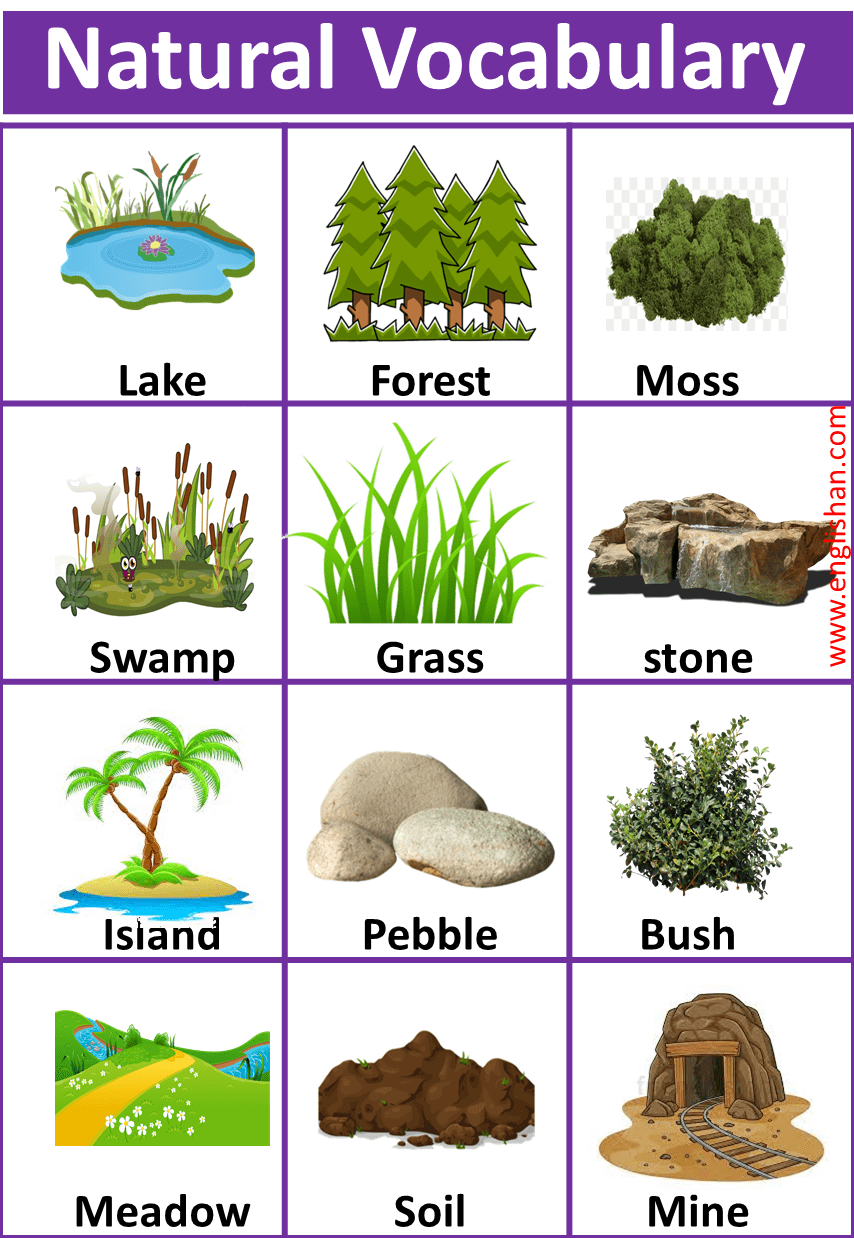 List Of Natural Vocabulary On Earth With Picture