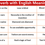 50 Proverbs in English with Meaning and Sentences