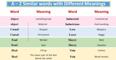 Same Word Different Meaning Examples