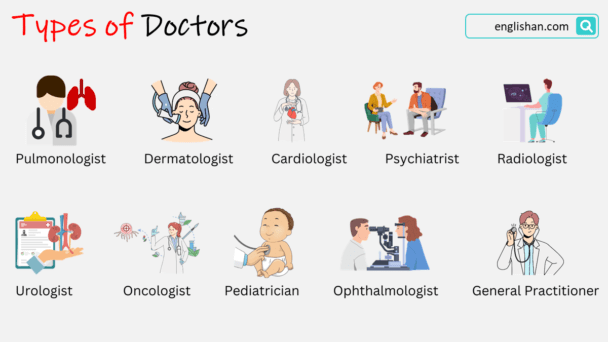 Types of Doctors Specialization with Meanings • Englishan