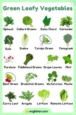 Green Leafy Vegetables Names in English