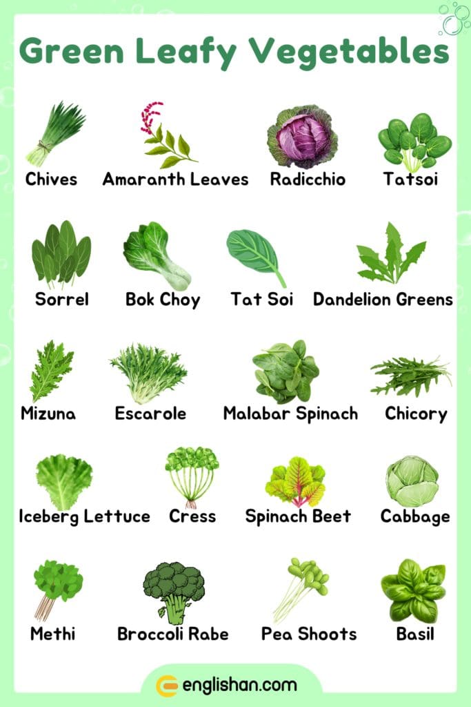 Green Leafy Vegetables Names in English