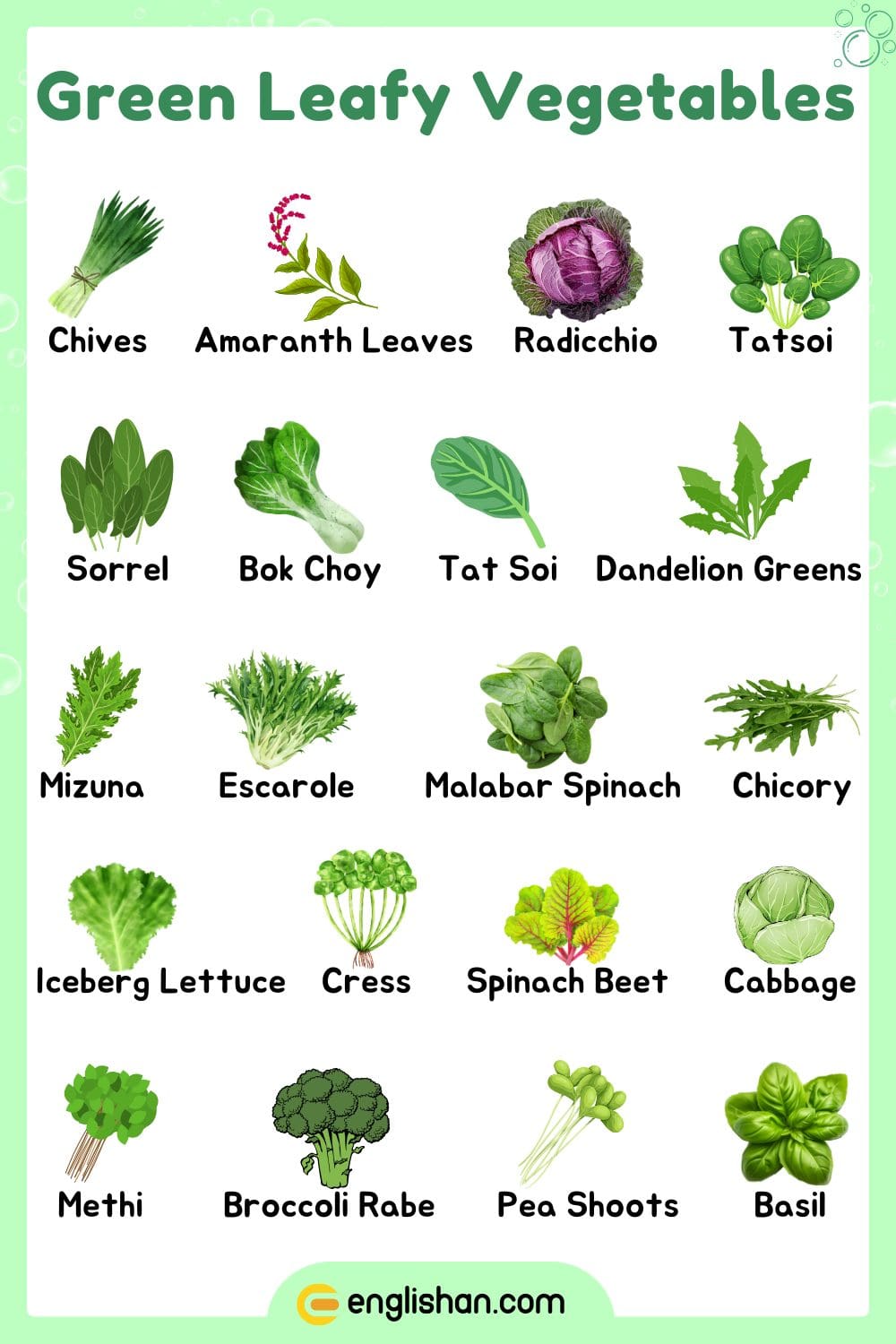 Green Leafy Vegetables Names in English for Healthy Eating