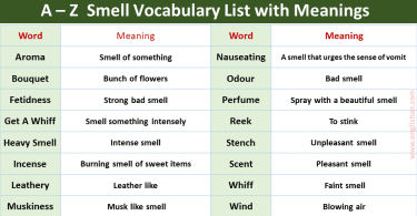 Adjectives For Smell With Meninges And Sentences • Englishan