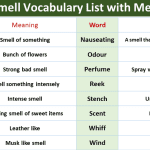 Smell Vocabulary with Urdu Meanings