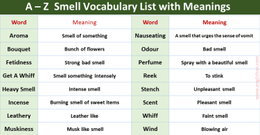 Smell Vocabulary with Urdu Meanings