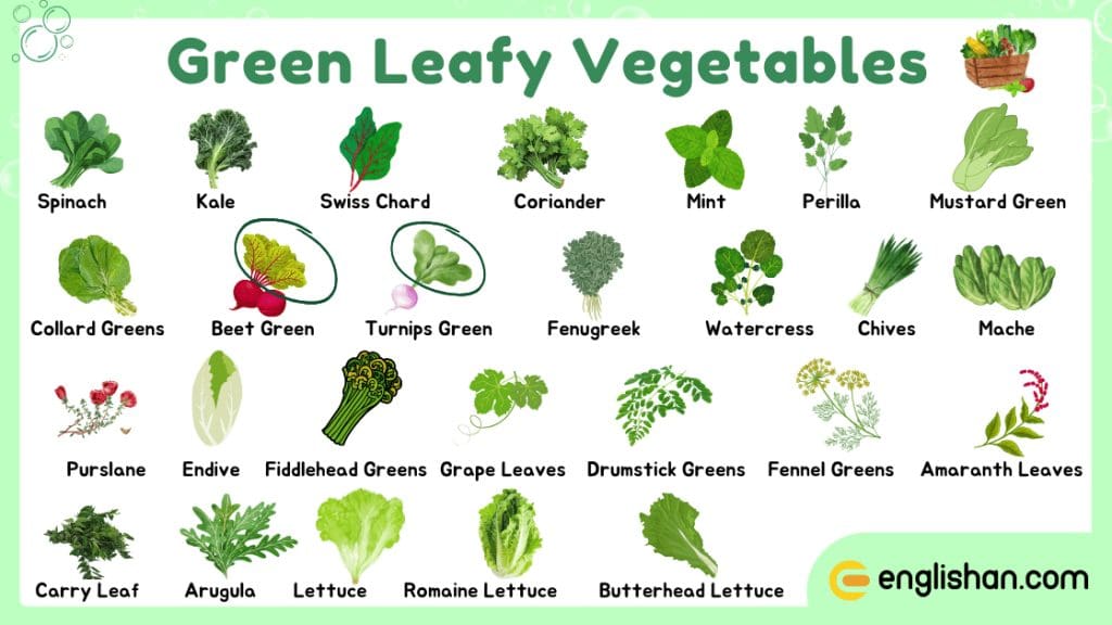 Green Leafy Vegetables Names in English