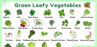 Names of Green Leafy Vegetables and Their Pictures