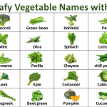 List of 50 Green Leafy Vegetables Picture Vocabulary for Kids