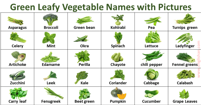 List of 50 Green Leafy Vegetables Picture Vocabulary for Kids