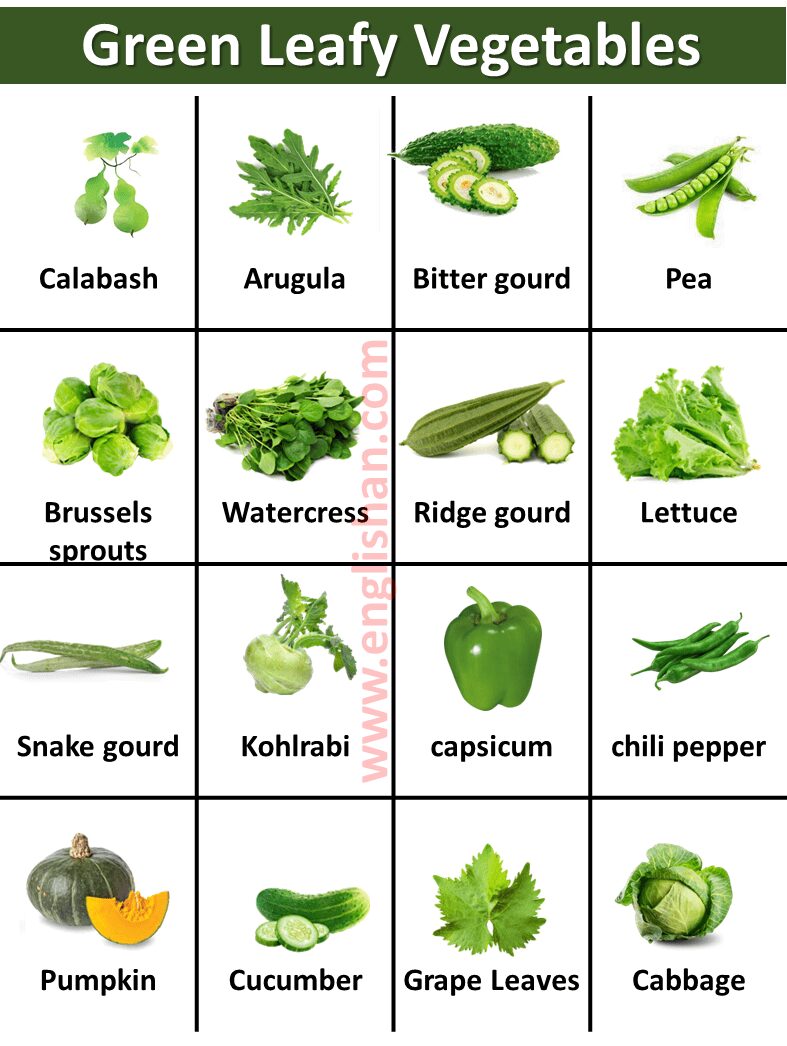 14 Easy Vegetables Drawing Tutorials