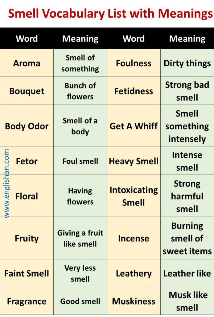 75 Words That Describe Smells