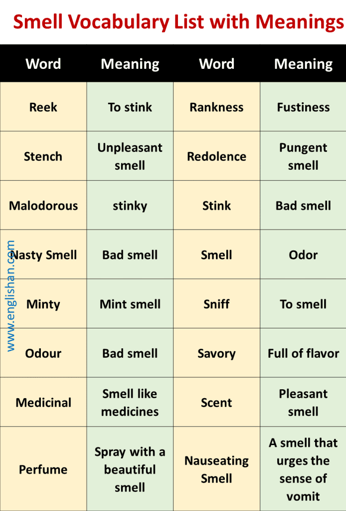 Smell Vocabulary  List 