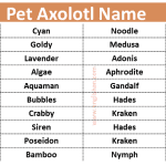 Pet Axolotl Names