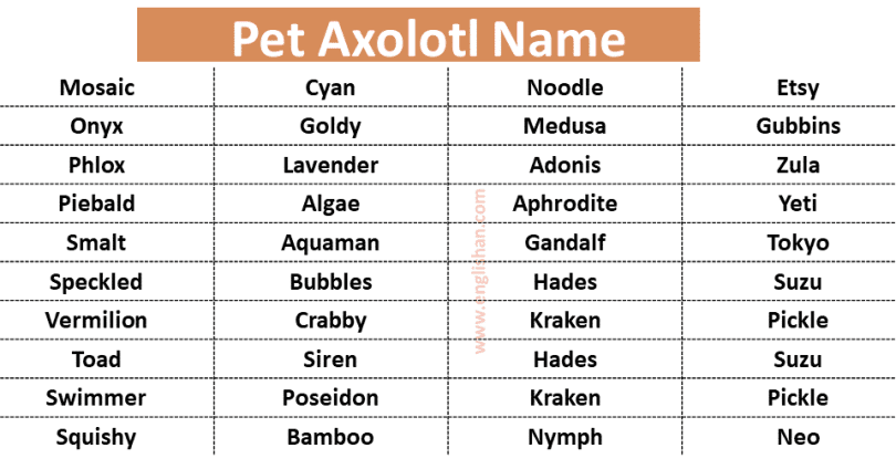 Pet Axolotl Names