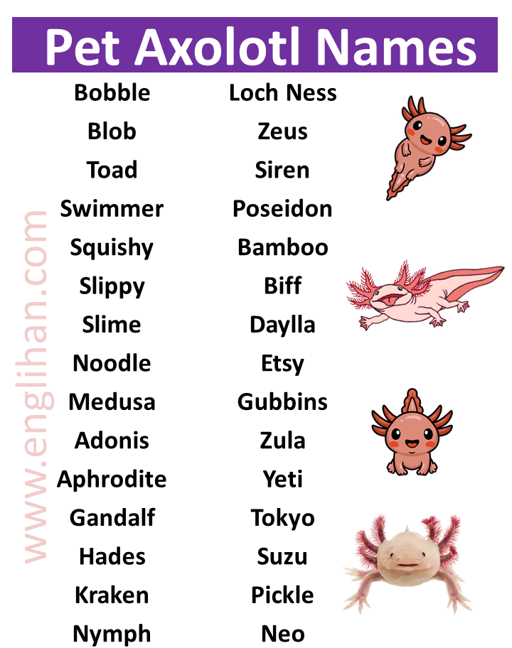 400+ Best Pet Axolotl Names