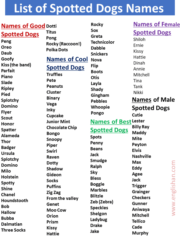 300+ Spotted Dogs Names List in English • Englishan